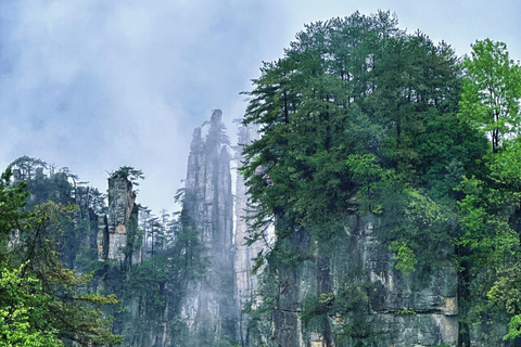 Zhangjiajie: National Forest Park Private Day Tour