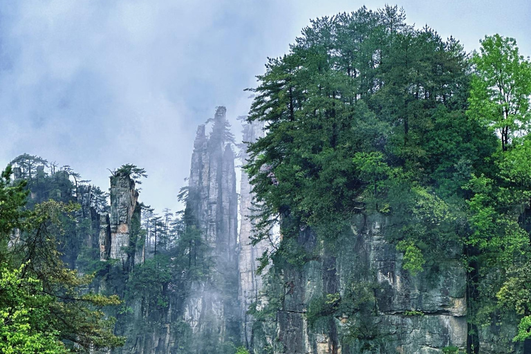 Zhangjiajie: National Forest Park Private Day Tour