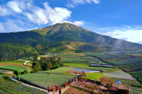 Yogyakarta :selogriyo temple, rice field trek& nepalvan java Yogyakarta :selogriyo temple rice field trek & nepalvan java