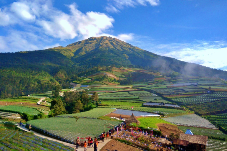 Yogyakarta :selogriyo temple, rice field trek& nepalvan java Yogyakarta :selogriyo temple rice field trek & nepalvan java