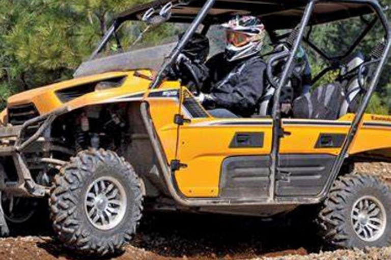 Cottonwood: UTV Rental with Trail Maps and Expert Advice 6 Person Tracker Crew Cab 2hrs.