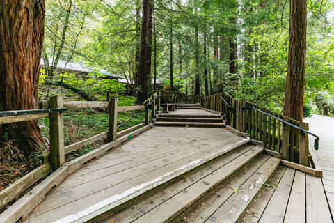 Z San Francisco: wycieczka grupowa Muir Woods i Sausalito