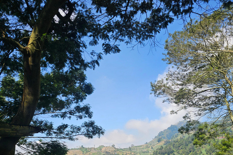 Från Yogyakarta: Dieng-platån &amp; gastronomitur &amp; transferFrån Yogyakarta: Dieng-platån &amp; gastronomi-tur &amp; transfer