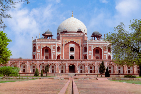 From Delhi: Golden Triangle Private Tour with Safari 7-days Golden Triangle Tour without Hotels & Tickets