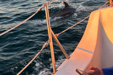 Los Angeles: Marina del Rey Kreuzfahrt auf einem klassischen Segelboot