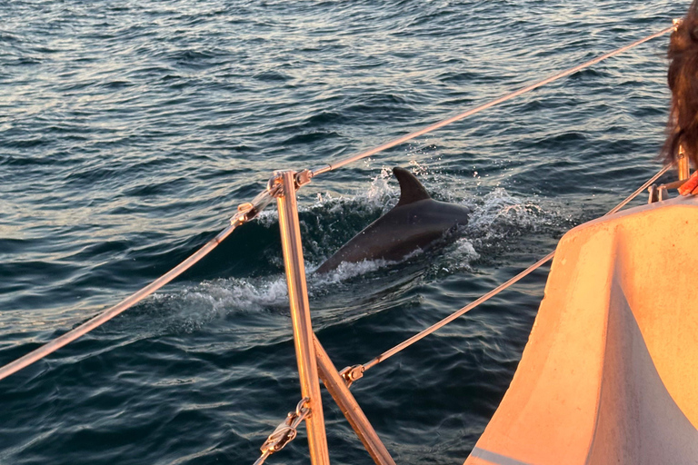 Los Angeles: Marina del Rey Kreuzfahrt auf einem klassischen Segelboot