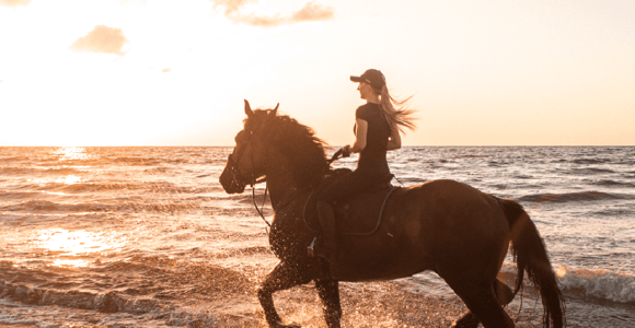 Side: Horseback Riding Tour in Nature