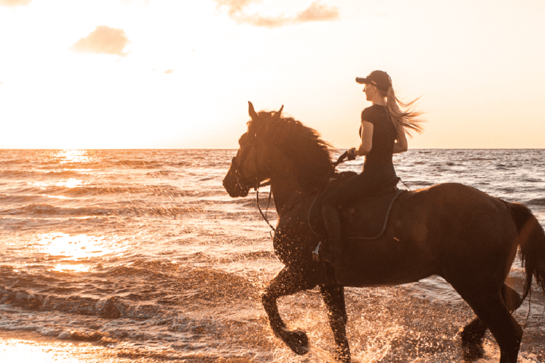 Side: Horseback Riding Tour in Nature with Transfer Horseback Riding Tour in Side: Experience Beach and Forest