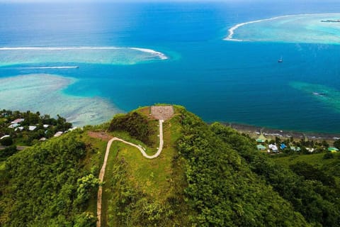 Bateaux de croisière à Moorea : 4x4, Belvédère, Magic Mountain pineaple