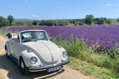 Explorez la Provence en Coccinelle !