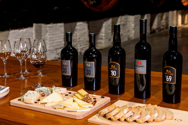 Food tasting at Mas Amiel with Vintage Oxidative Wines & Cheeses in Maury (66) Tasting at Mas Amiel with Vintage Oxidative Wines & Cheeses in Maury (66)
