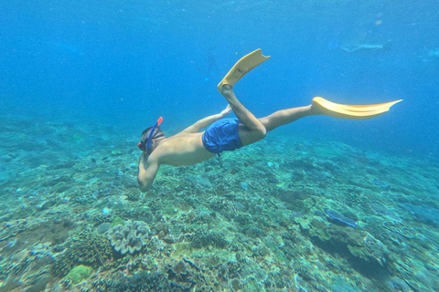 Bali : Excursion d&#039;une journée à Nusa Penida (formule tout compris) et meilleure plongée avec masque et tuba