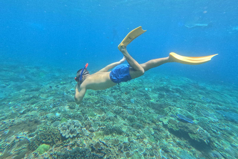 Bali : Excursion d&#039;une journée à Nusa Penida (formule tout compris) et meilleure plongée avec masque et tuba