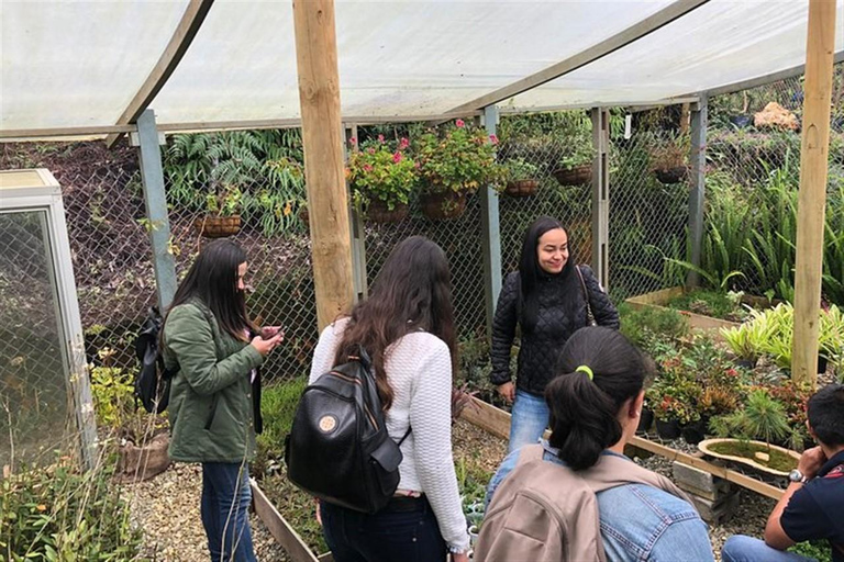 Medellin: Amazing Arvi Natural Reserve