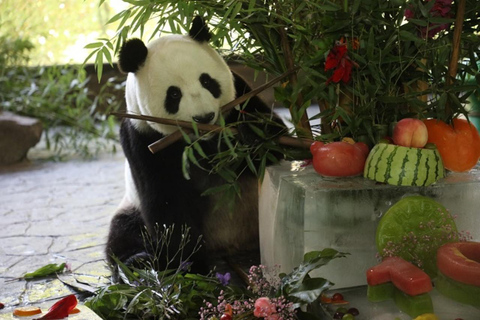 Shanghai: Wildlife Park, Xinchang, and Bund Private Tour