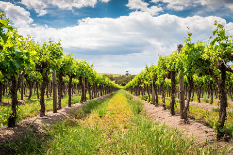 Wines and Whispers: A Barossa Valley Wine Tour from Adelaide