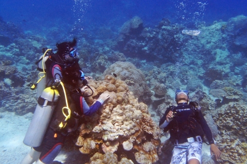 Ontdek duiken in Boracay