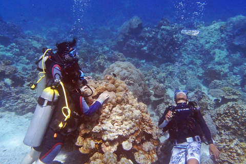 Upptäck dykning i Boracay