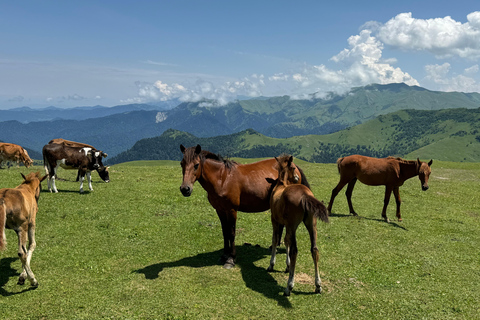 Kutaisi: From the Wild Caucasus Mountains to the Black Sea