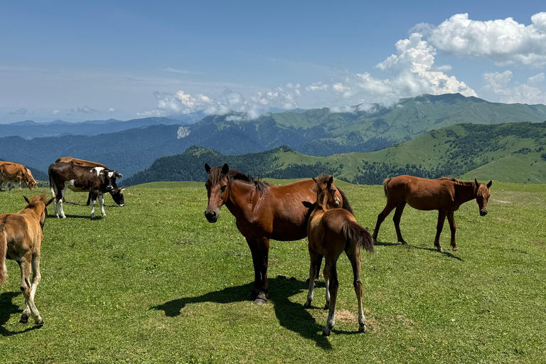 Kutaisi: From the Wild Caucasus Mountains to the Black Sea
