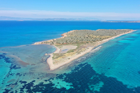 Athènes : Croisière à la nage avec déjeuner, vin et DJ live à bord