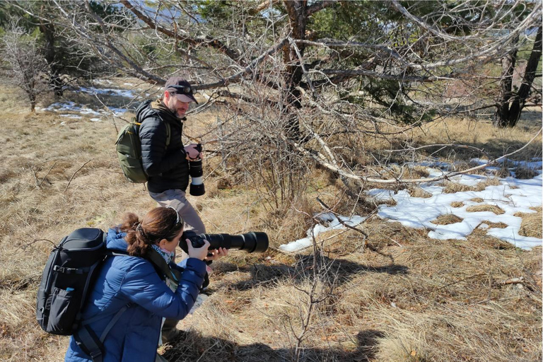 From Sofia: Wildlife Tracking & Search Science Expedition