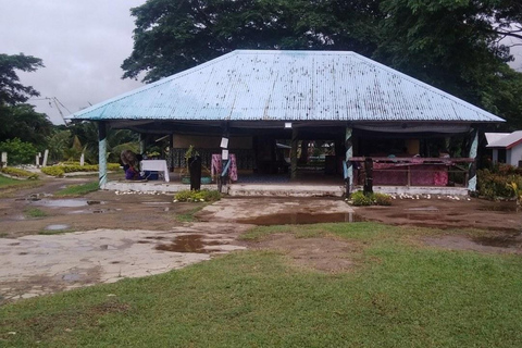 Ogród Śpiącego Olbrzyma z wycieczką do gorących źródeł Tifajek MudpoolHotele w Nadi / Port Denarau / Double Tree / Odbiór z Vuda