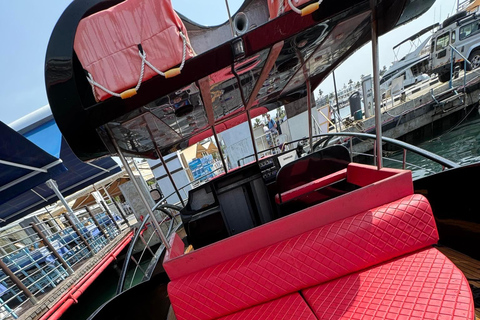 Paphos: Sea Safari Cruise with Blue Marlin Trimaran Yacht