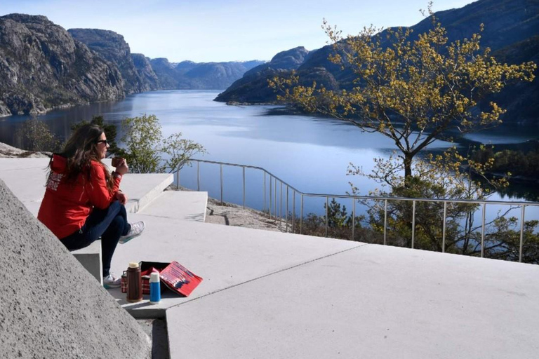 Excursão de minibus ao Lysefjord e safari de lancha opcionalPasseio de minibus pelo Lysefjord