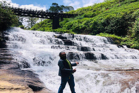 Kandy: Full-Day Tour with Historical Cultures