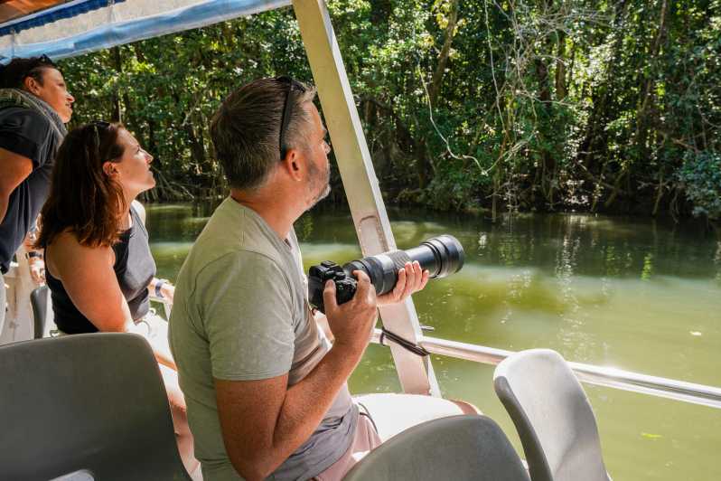 From Port Douglas: Daintree Half-Day Tour w/ River Cruise