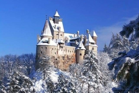 Brasov: dagtour naar kastelen van Bran, Peles en Cantacuzino