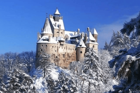 Brasov: tour di un giorno ai castelli di Bran, Peles e Cantacuzino