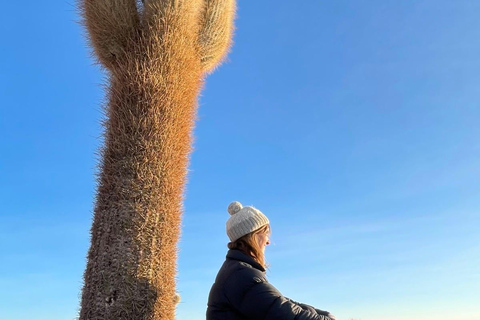 San Pedro de Atacama: 4-Day Uyuni Salt Flats Tour