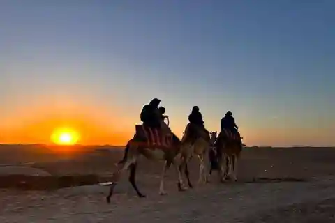 Marrakech: Agafay Desert Trip with Activities and Dinner