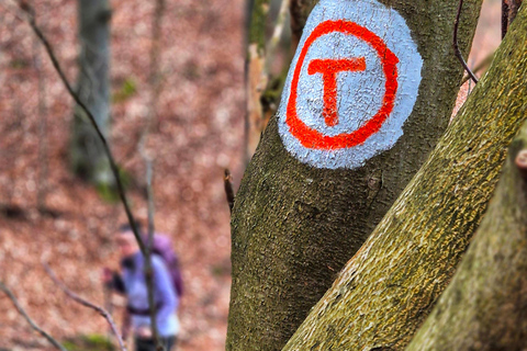 From Zarnesti: Magura Branului & Via Transilvanica Day Hike