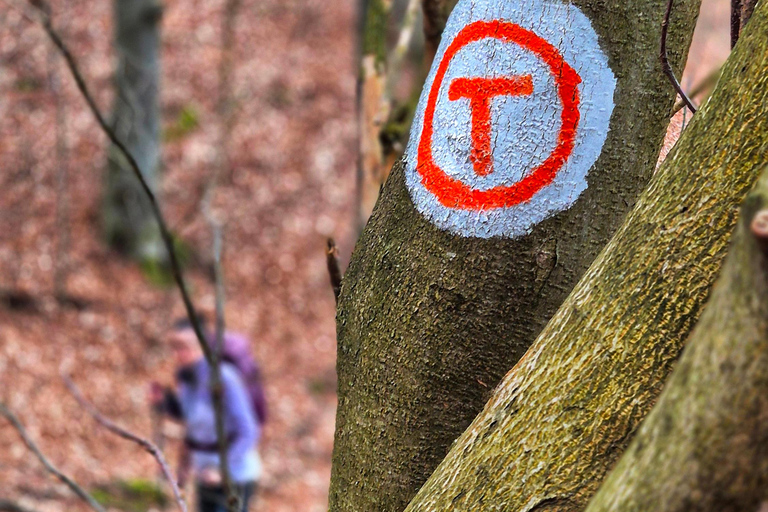 From Zarnesti: Magura Branului & Via Transilvanica Day Hike