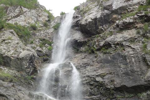 Tbilisi: Pankisi Gorge Horse Riding Tour with Dinner