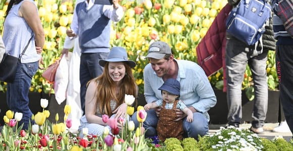 From Sydney: Canberra Floriade Festival Includes Lunch