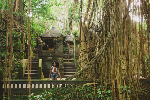 Ubud: Apenbos, Rijstterras, Schommel, Watertempel