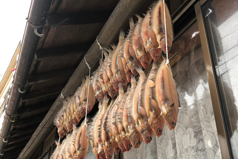 From Osaka: Amanohashidate, Ine Bay, and Miyama Day Trip From Osaka: Amanohashidate, Ine Bay, and Miyama Day Trip