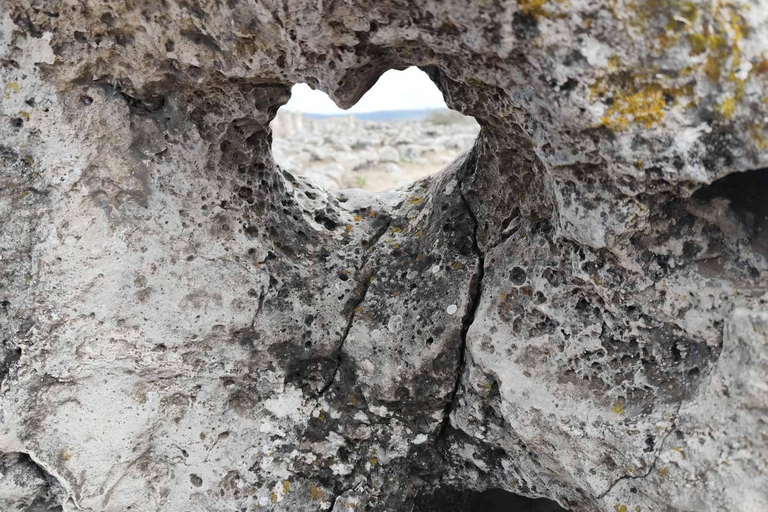 Stone Forest: Bulgaria's Hidden Energy Experience