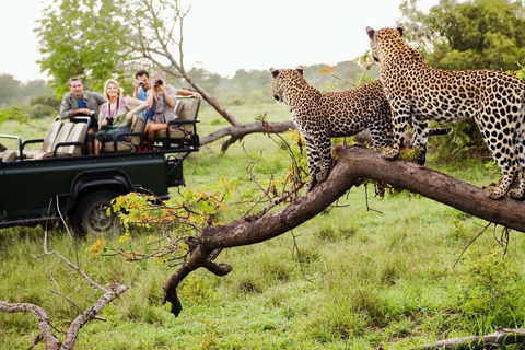 Durban: 2-tägige Hluhluwe Imfolozi und Isimangaliso Tour