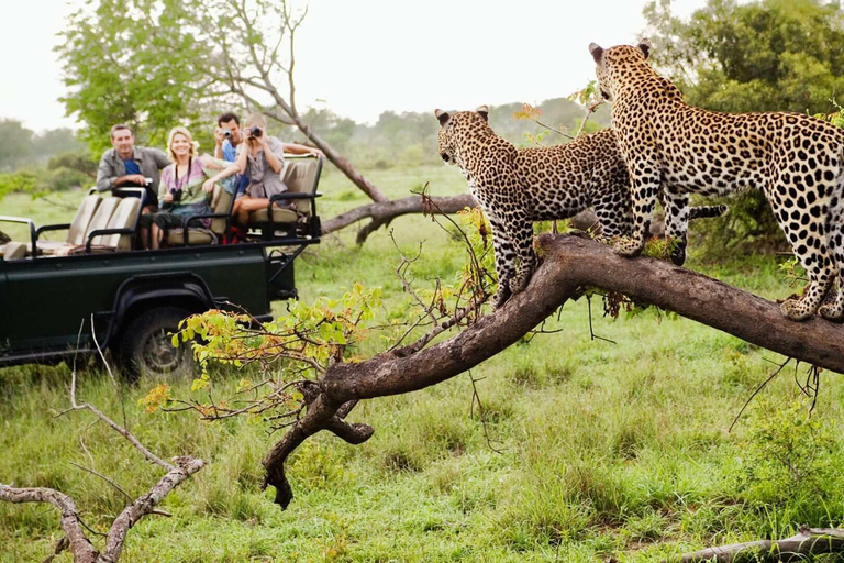 Durban: 2-daagse Hluhluwe Imfolozi en Isimangaliso tour