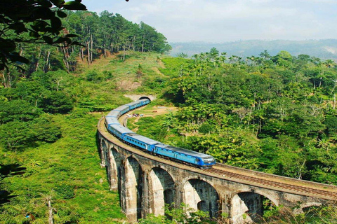 Desde Ella: Traslado Galle / Mirissa / Tangalle con Safari