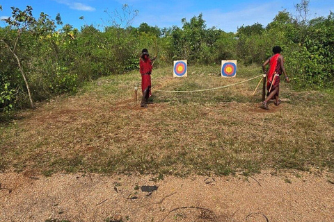 ZANZIBAR: Mnemba Island Dolphins & Maasai Village Experience