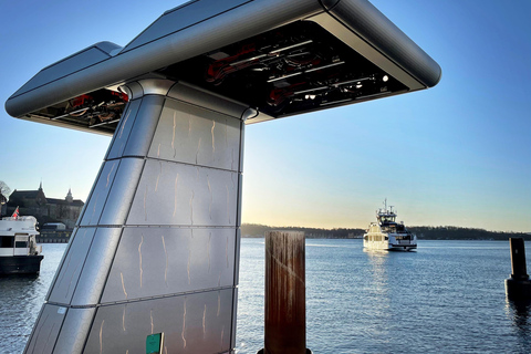 Oslo: Oslofjord Electric Boat Cookie Cruise