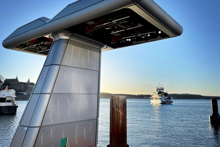 Oslo: Oslofjord Electric Boat Cookie Cruise
