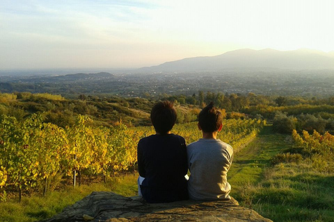 Excursão de 1 dia pela Toscana saindo de Florença - grupo pequeno de até 8 pessoas