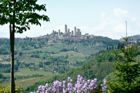 Full-Day Tour of Tuscany from Florence-small group up 8 pax